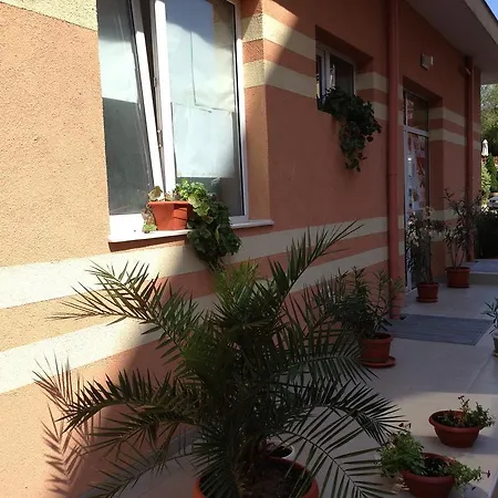 Guest house Sunshine Family 2*